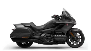 GOLD WING