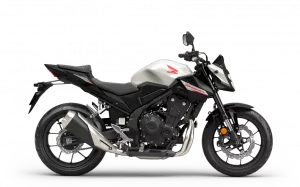 Hornet 500