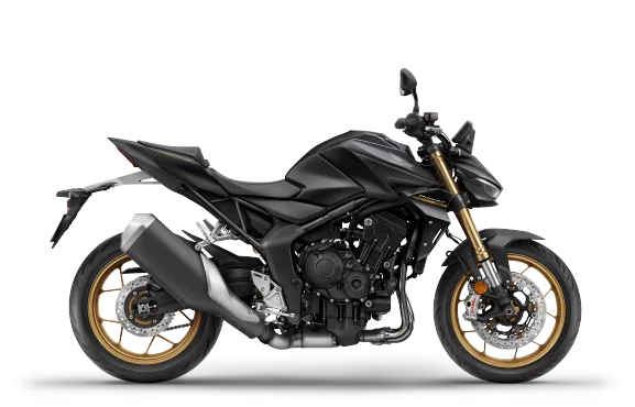 Hornet 1000 SP