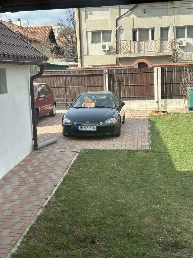 Niculae Cosmin